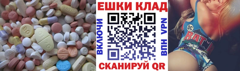 kraken онион Заполярный Ecstasy Philipp Plein закладки