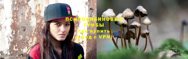 метамфетамин Ельня